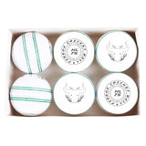 FIREOX HL 75 Cricket Balls, Machine Stitched, White