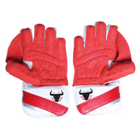 FIREOX Cricket HL 75 Wicket Keeping Gloves